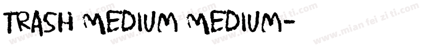 Trash Medium Medium字体转换